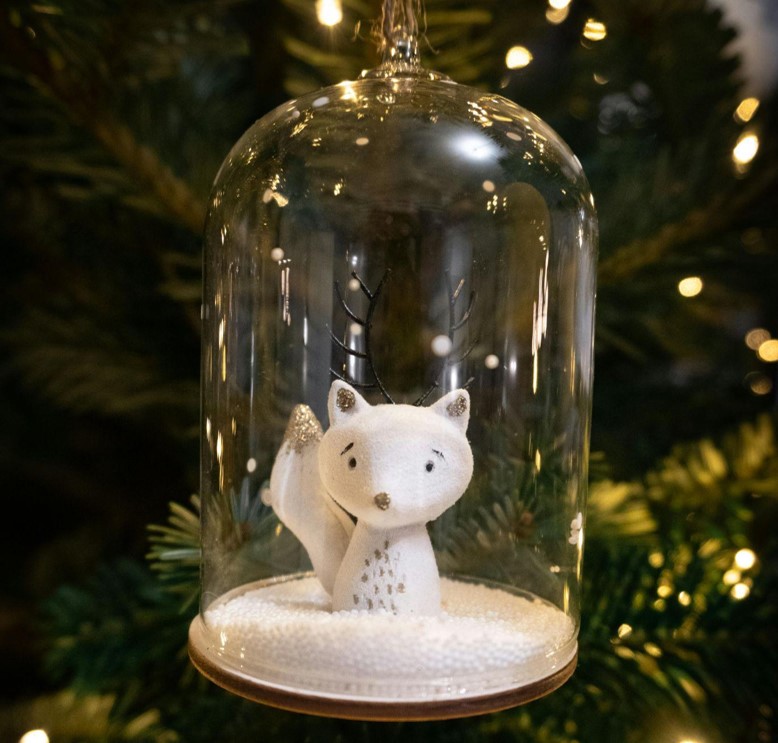 The King of Christmas Trees and Holiday Traditions